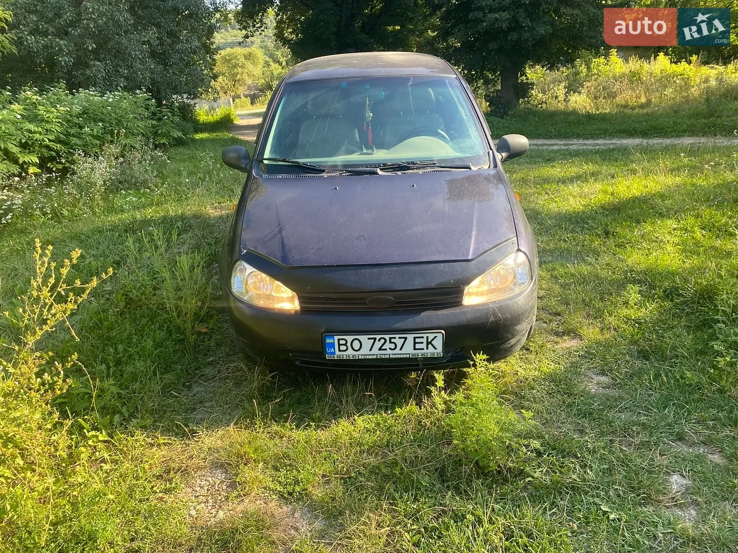 ВАЗ / Lada 1119 Калина, 2007