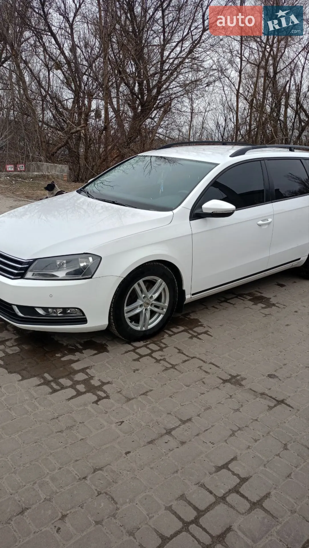 Volkswagen Passat, 2011