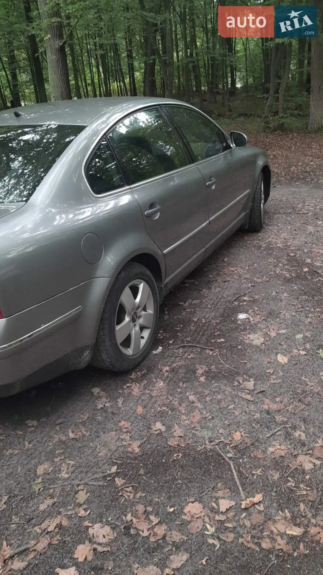 Volkswagen Passat, 2004