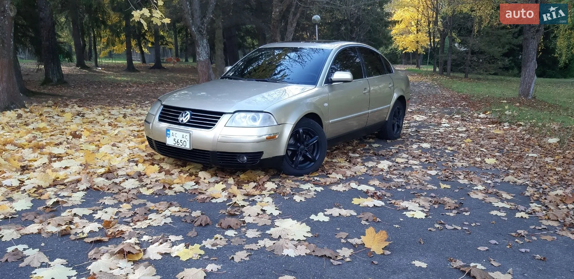 Volkswagen Passat, 2004