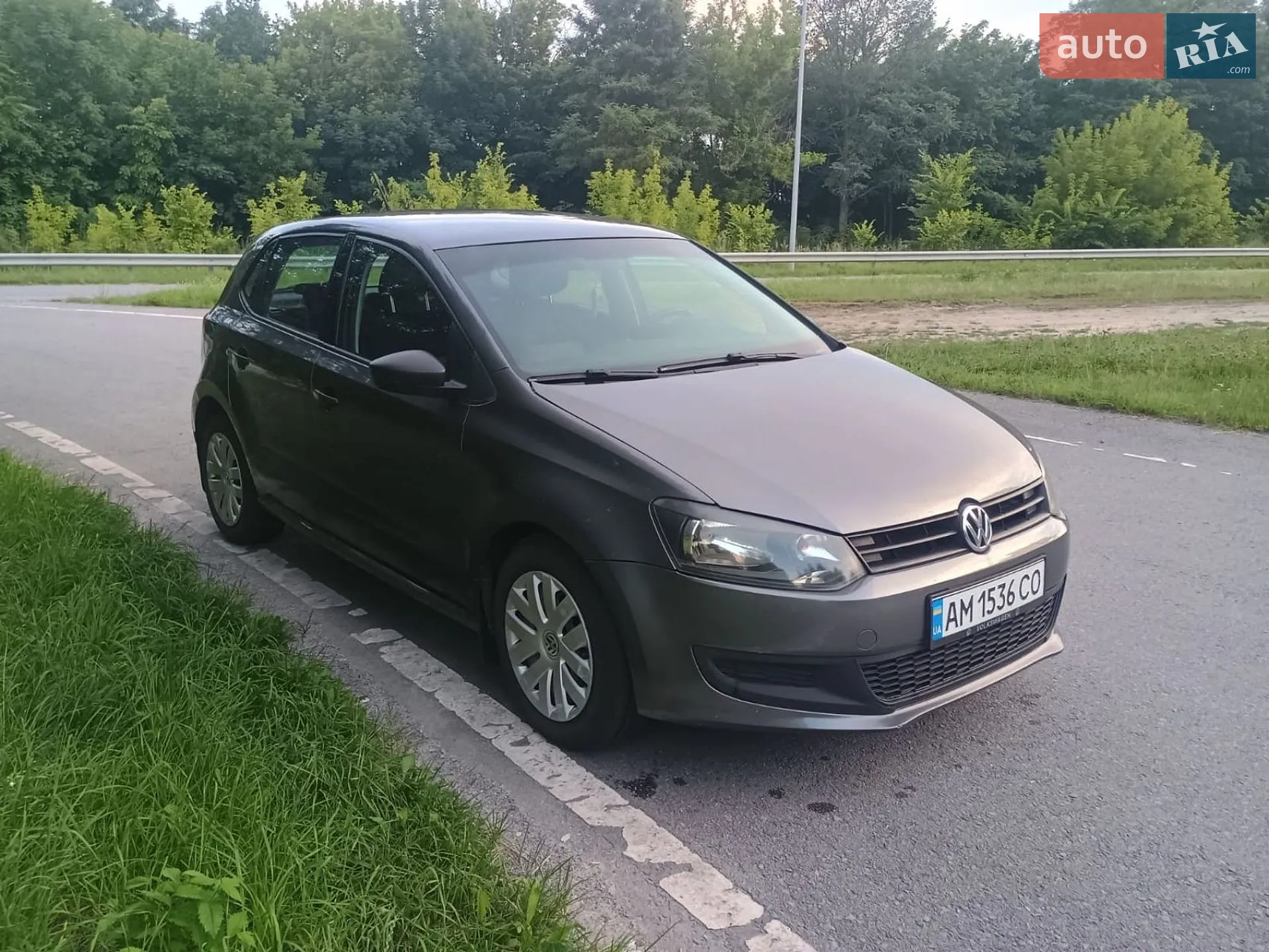 Volkswagen Polo, 2010