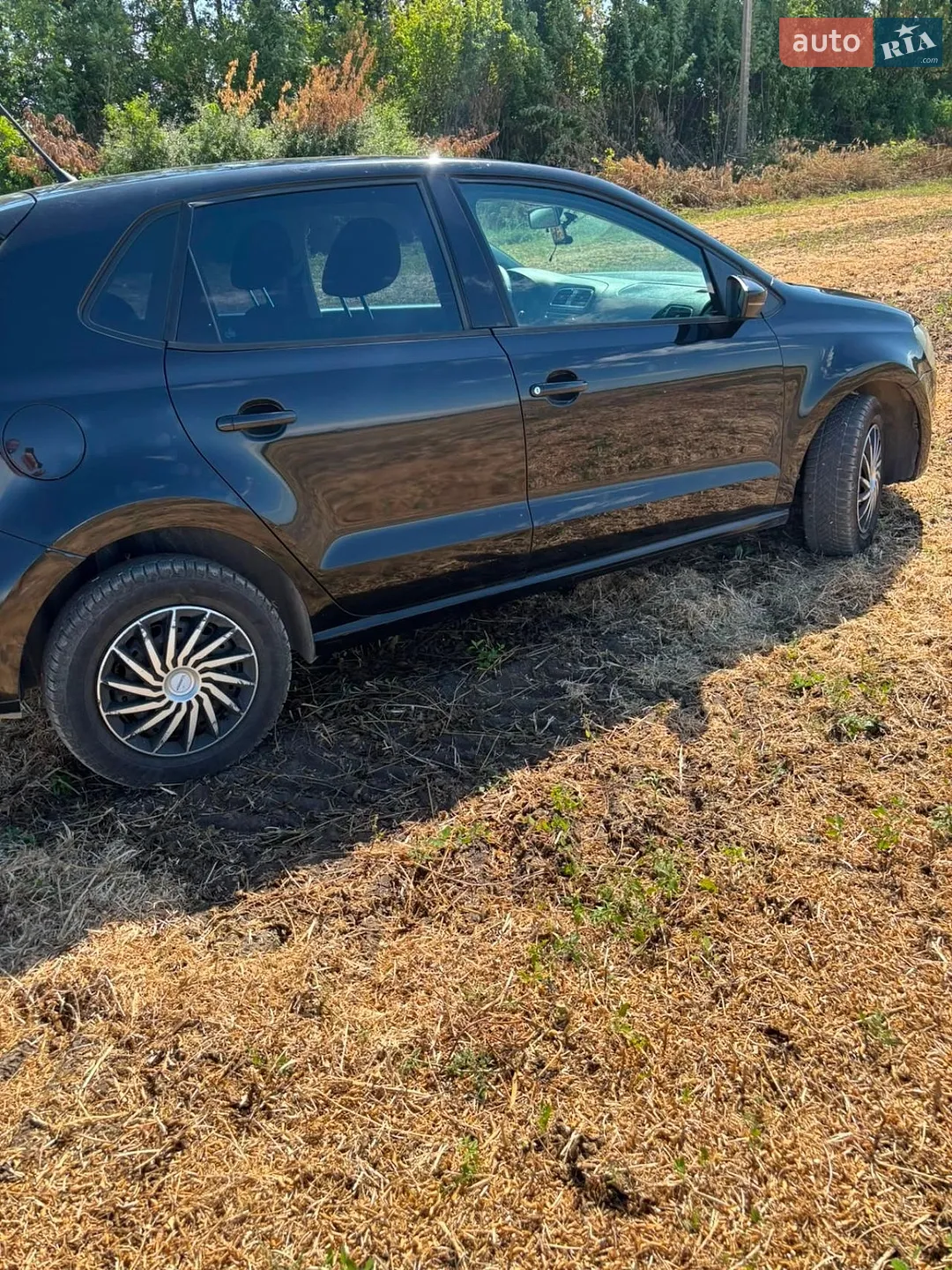 Volkswagen Polo, 2010