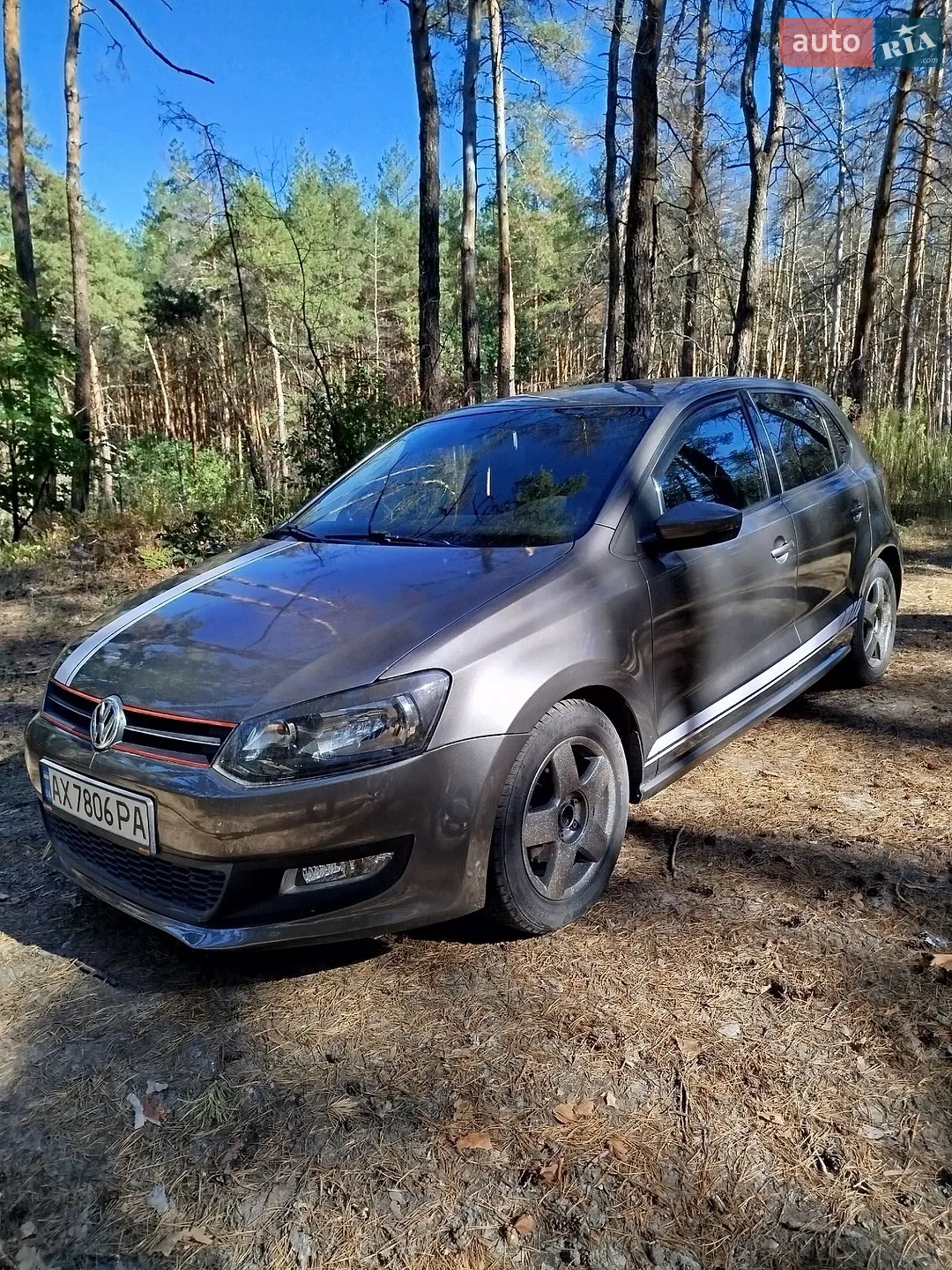 Volkswagen Polo, 2010