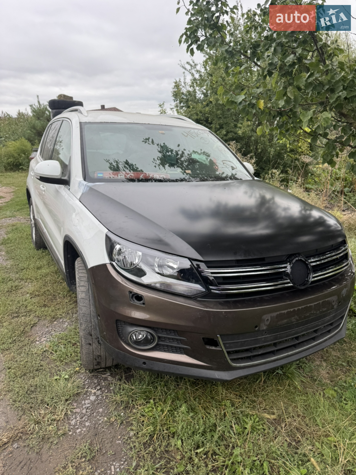 Volkswagen Tiguan, 2013