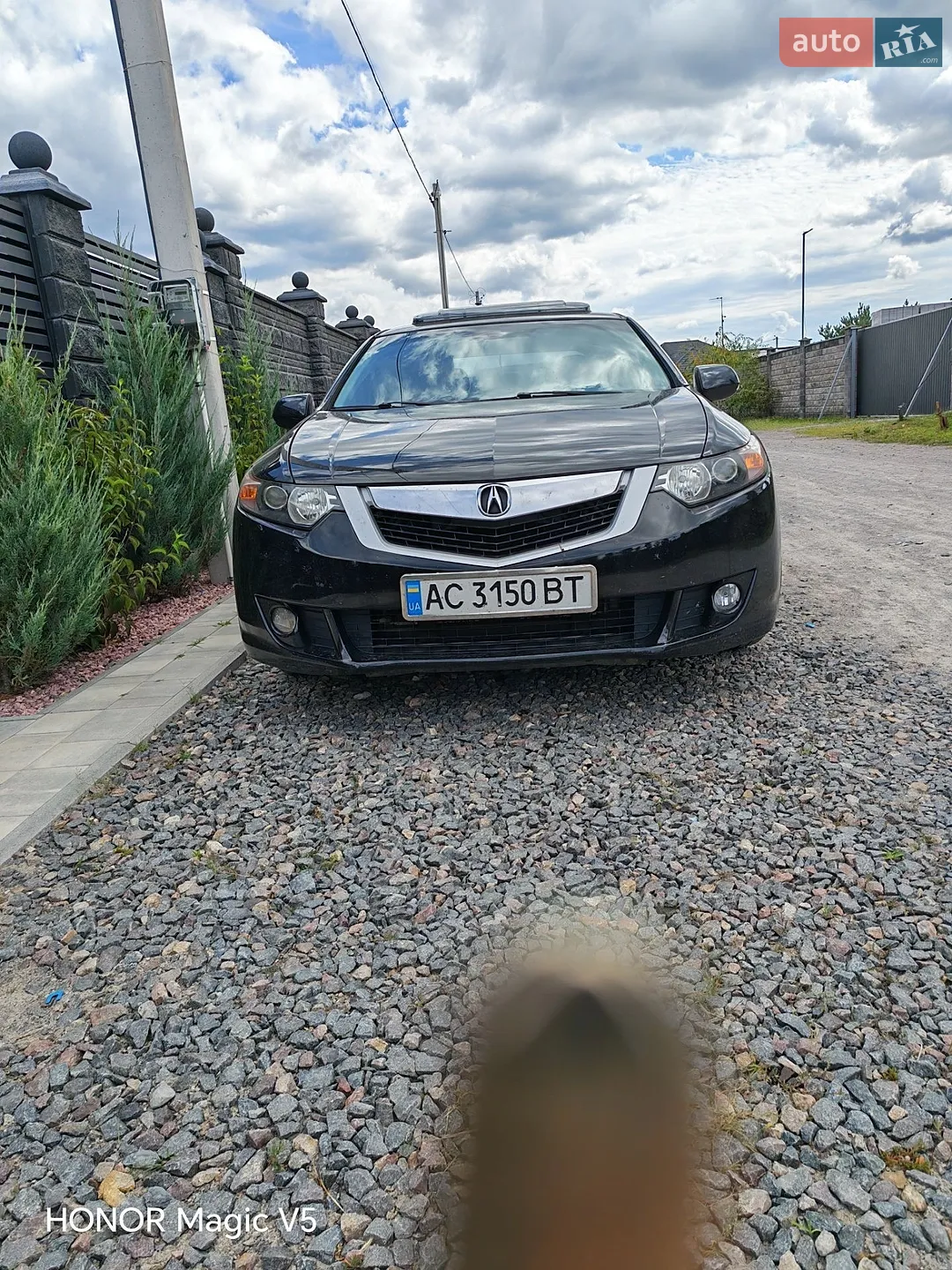 Acura TSX, 2010