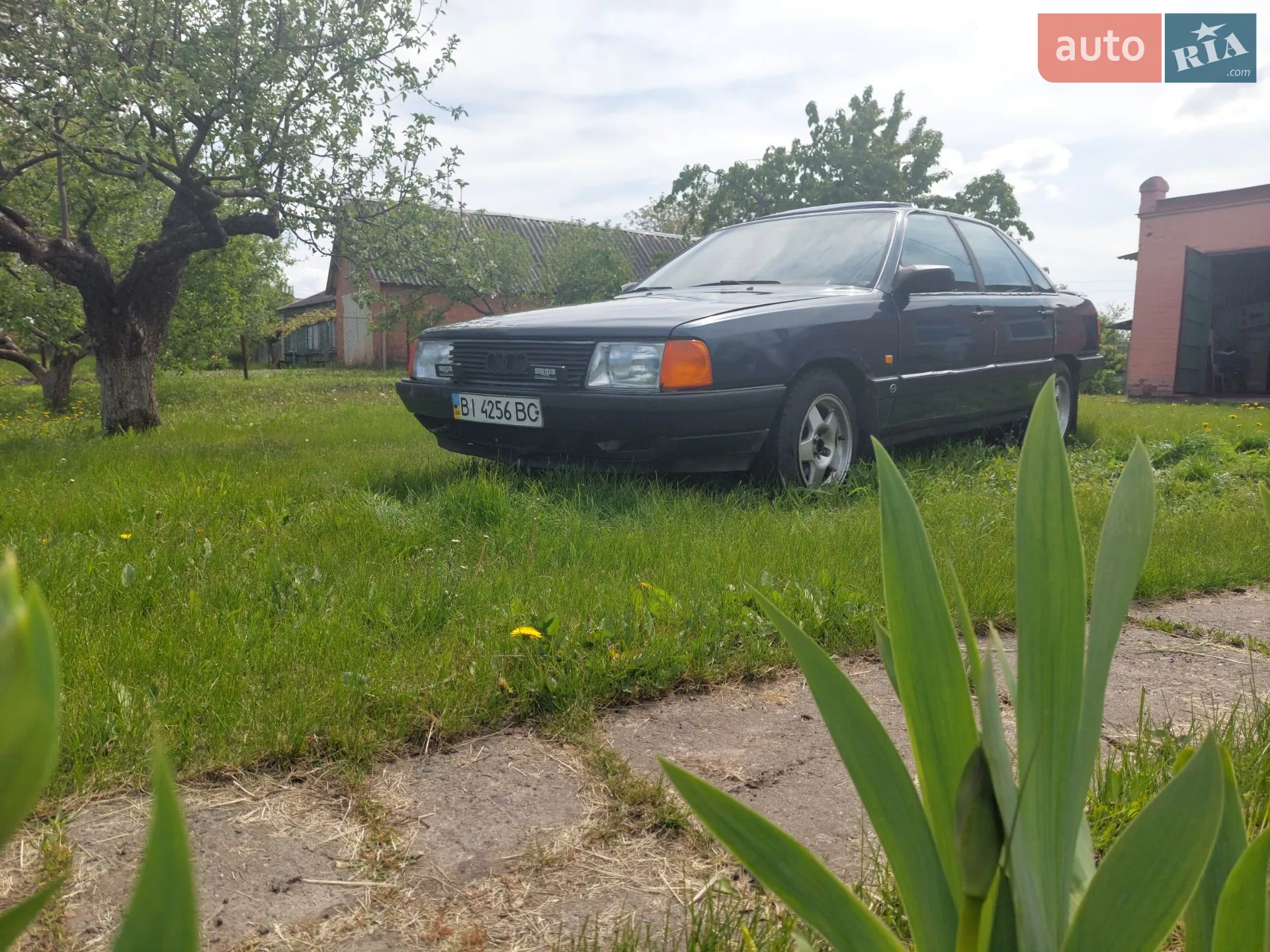 Audi 100, 1987