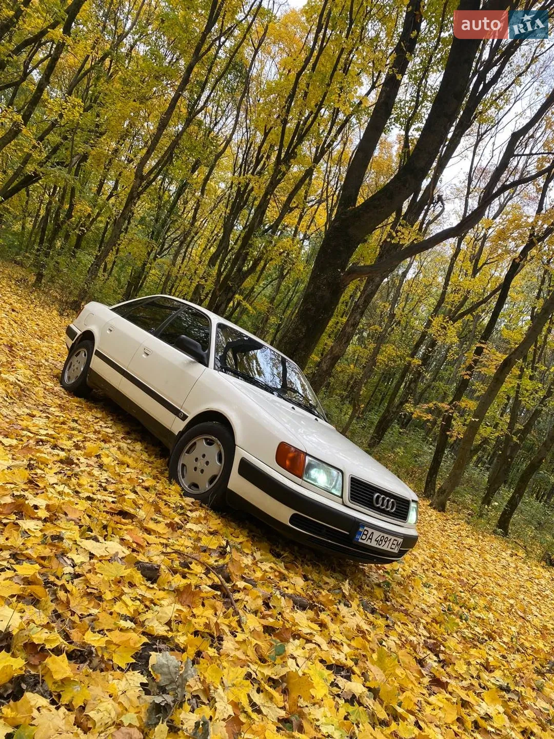 Audi 100, 1991