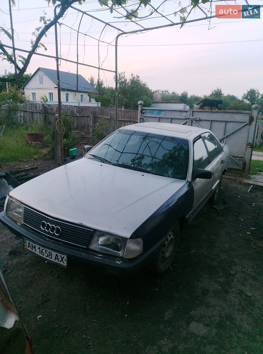 Audi 100, 1985