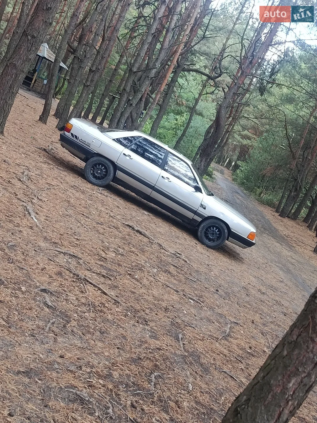 Audi 100, 1983