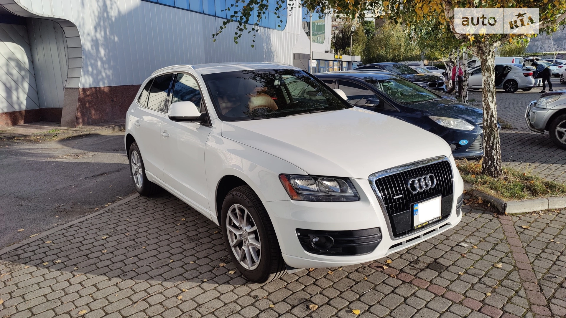 Audi Q5, 2010