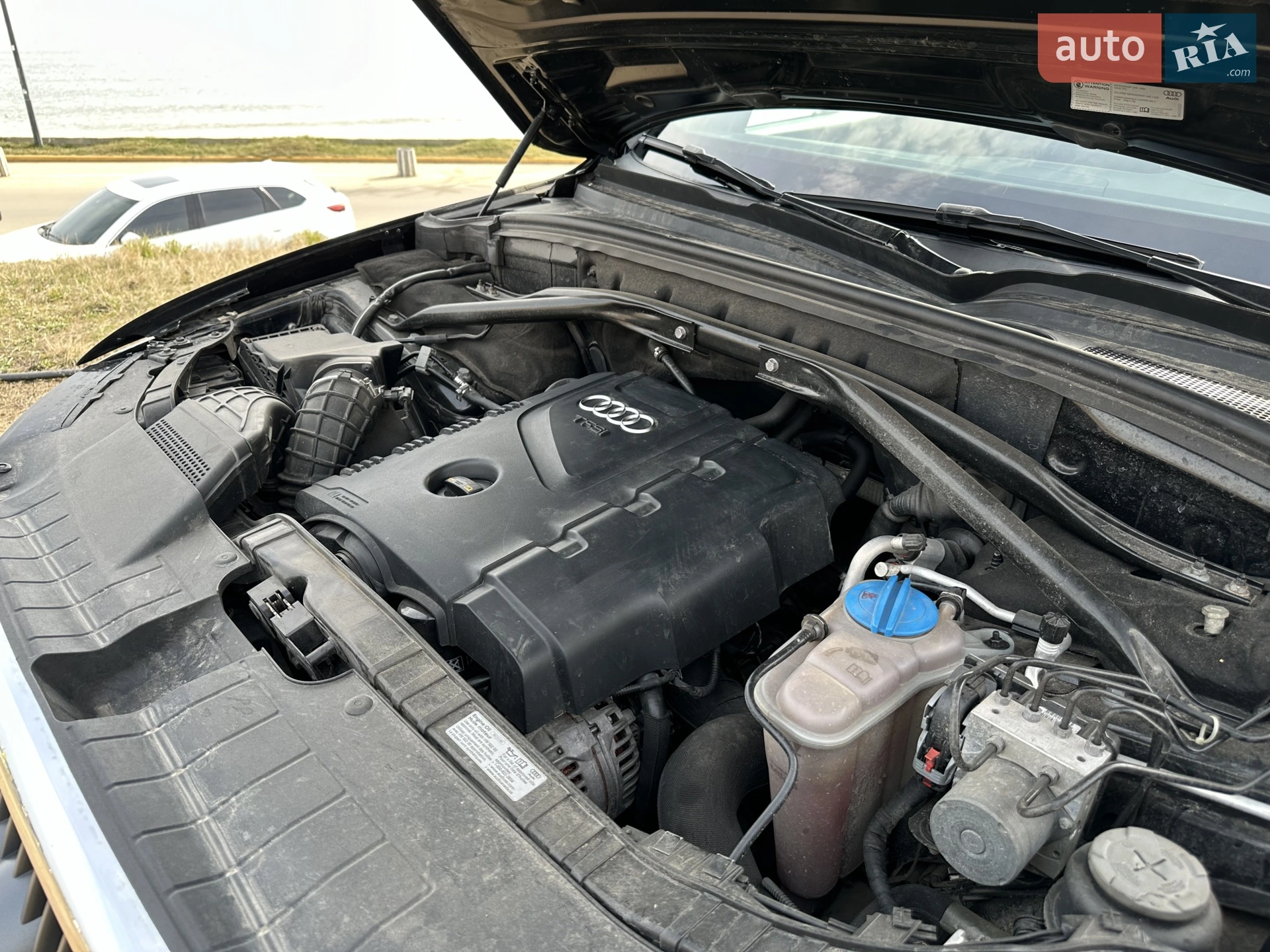 Audi Q5, 2010