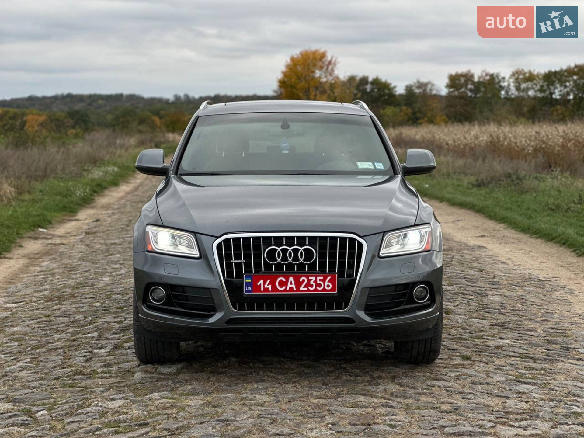 Audi Q5, 2013