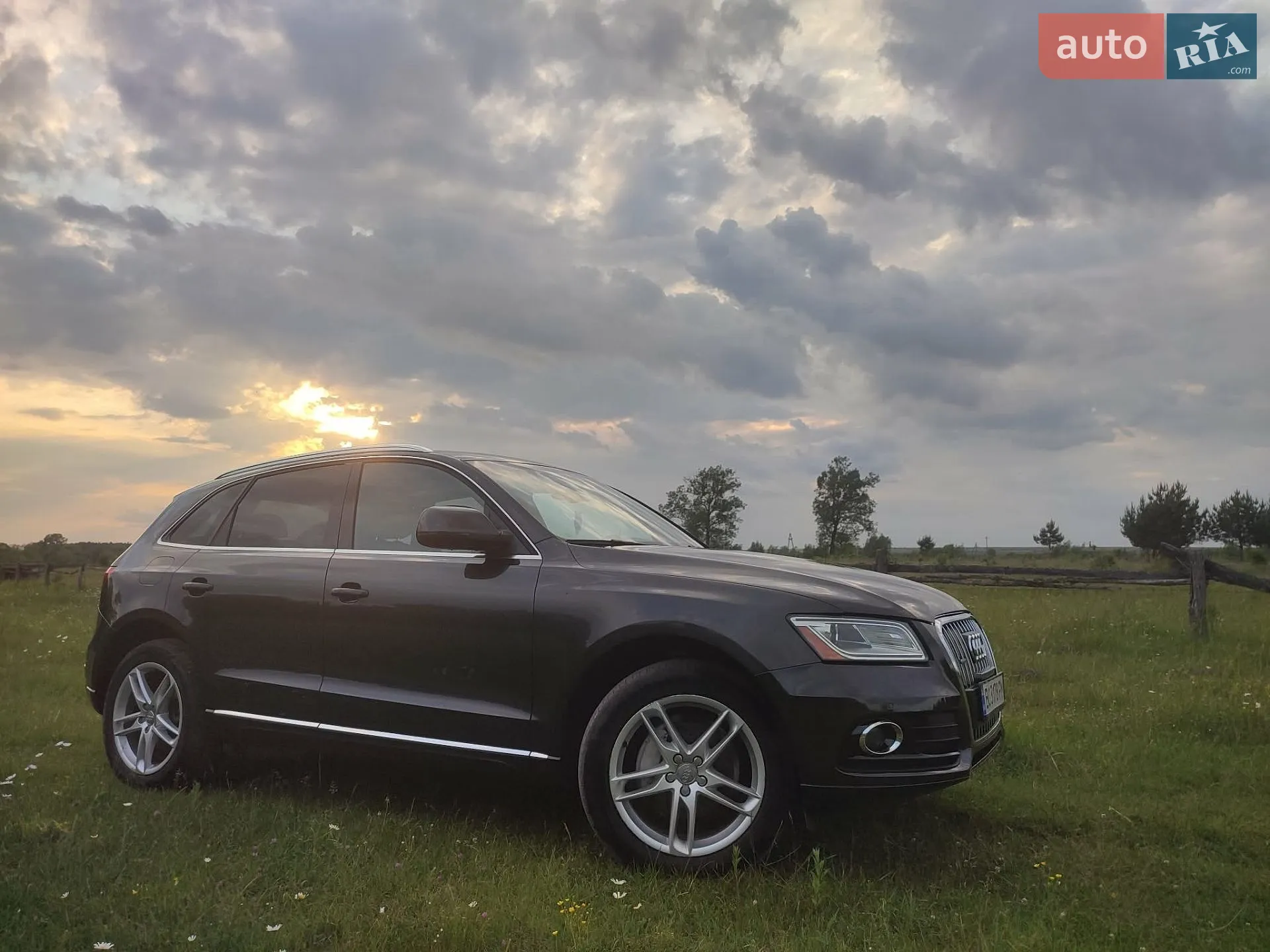 Audi Q5, 2013