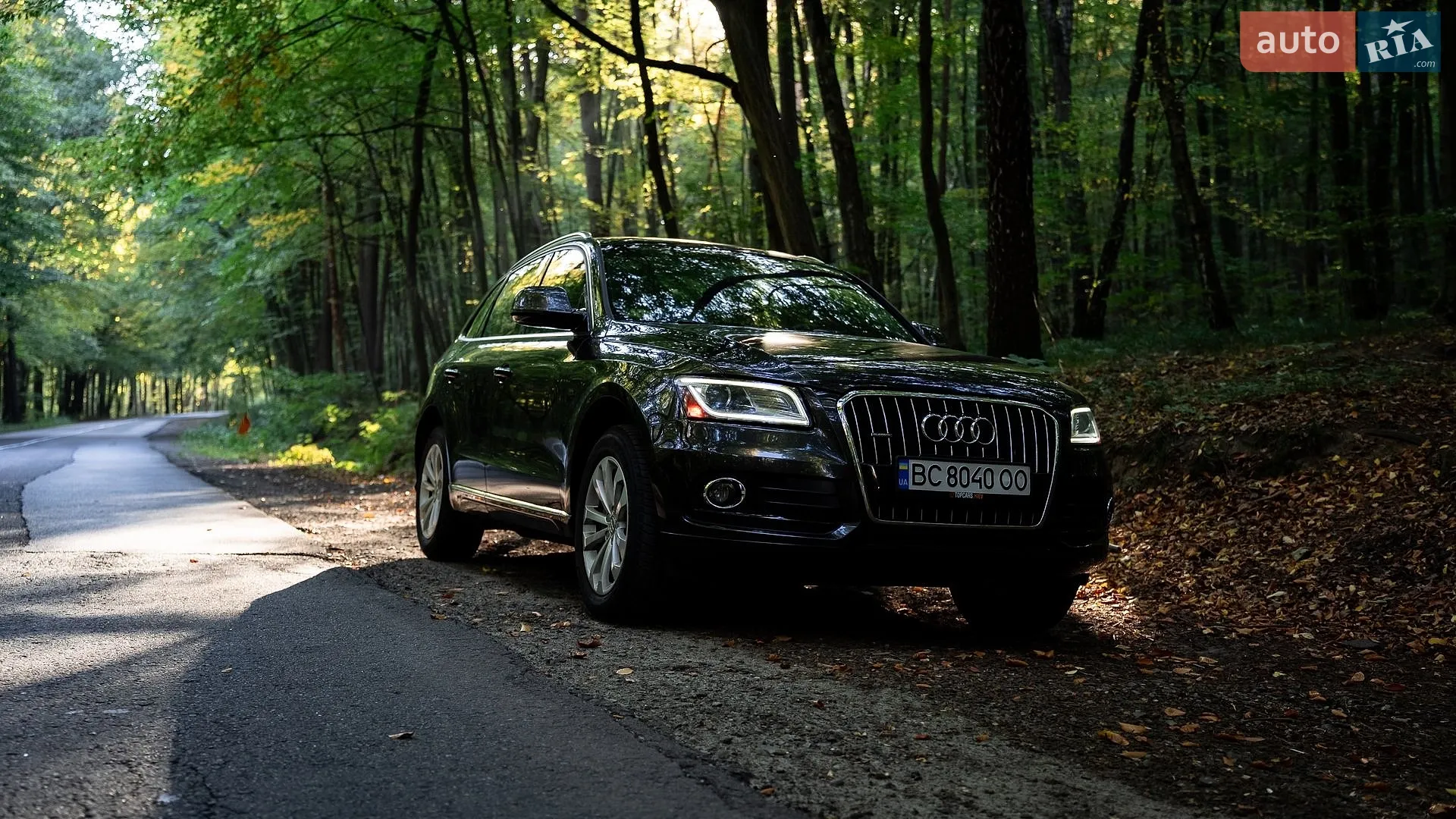 Audi Q5, 2014