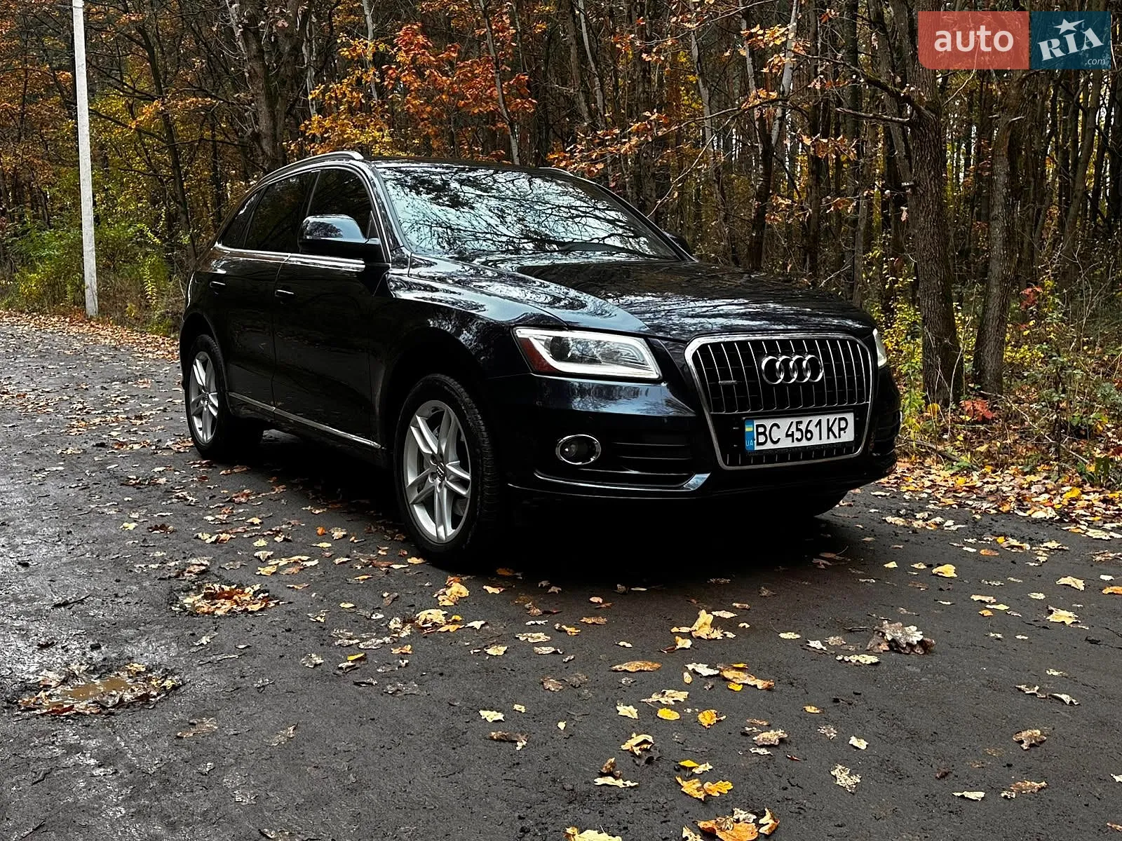 Audi Q5, 2013