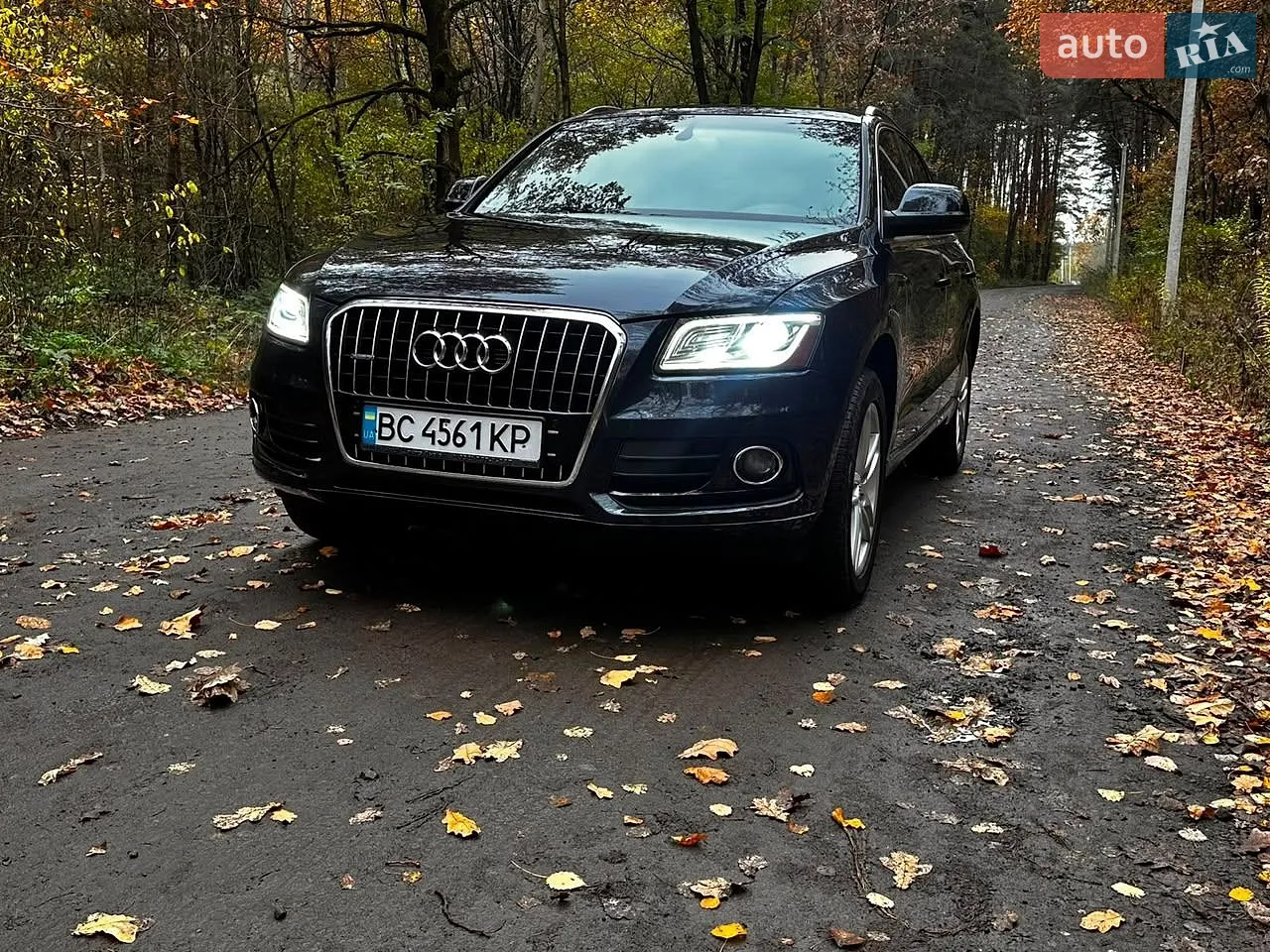 Audi Q5, 2013