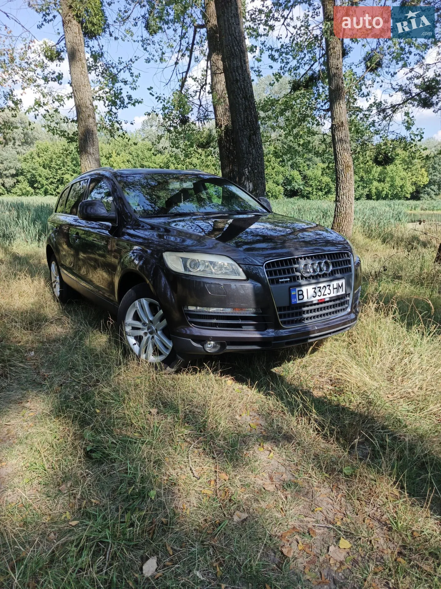 Audi Q7, 2006