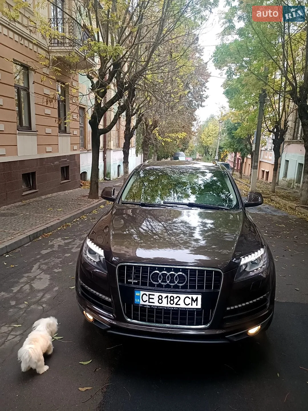 Audi Q7, 2013