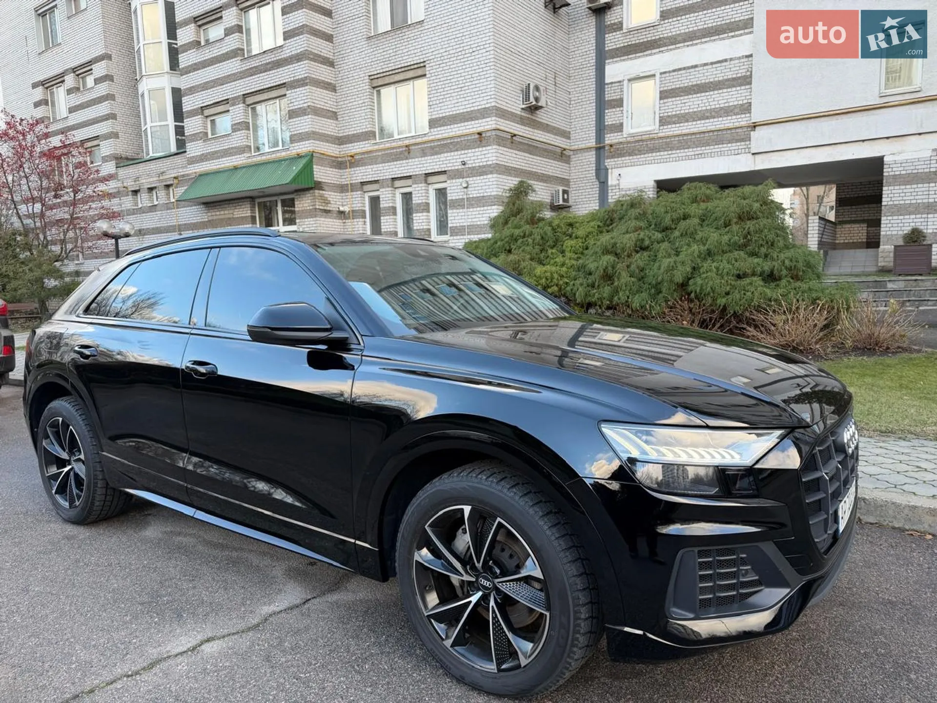 Audi Q8, 2019