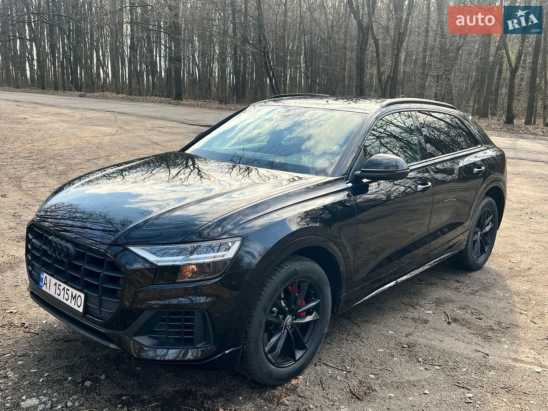 Audi Q8, 2018