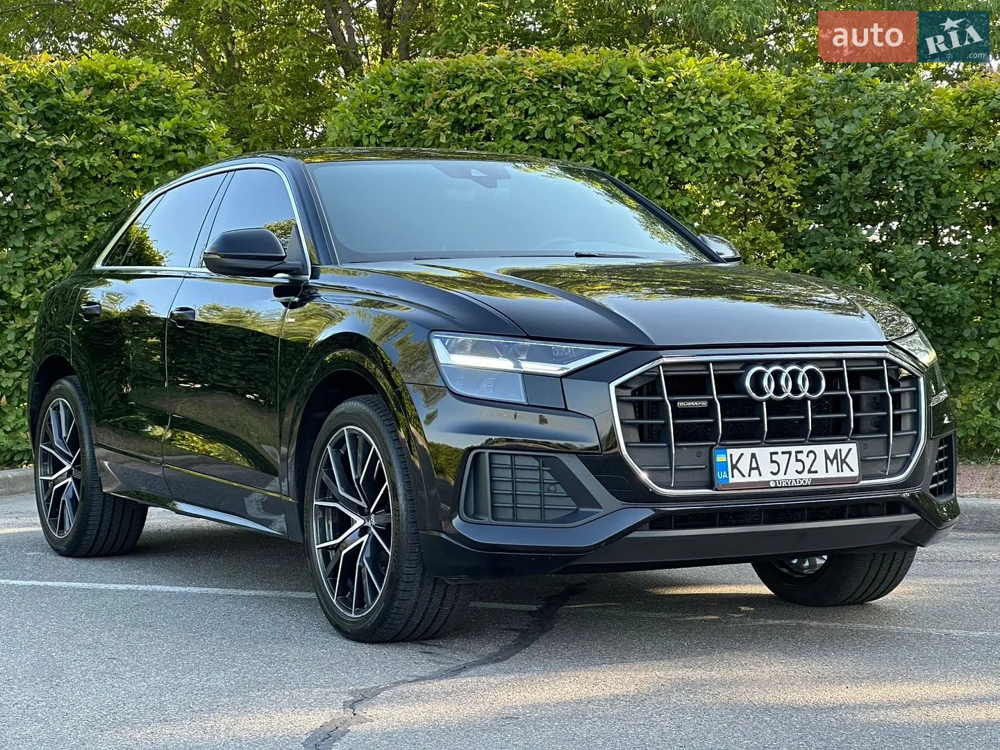 Audi Q8, 2019