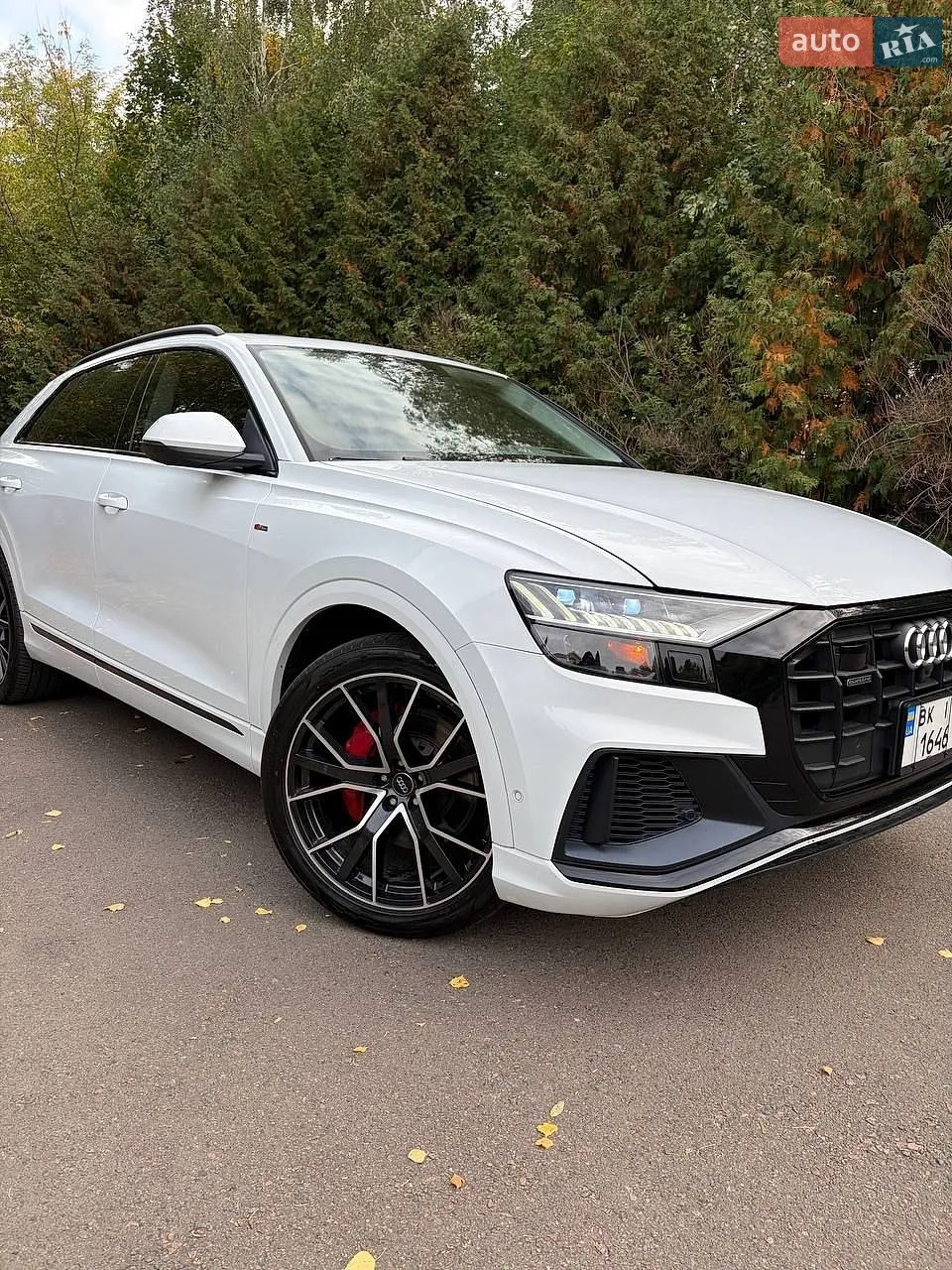 Audi Q8, 2020
