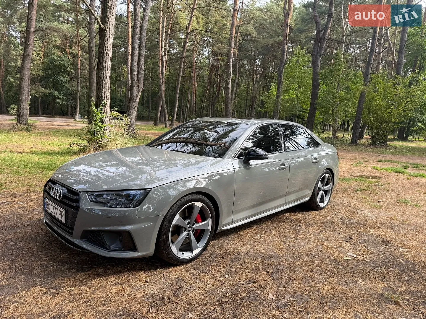 Audi S4, 2019