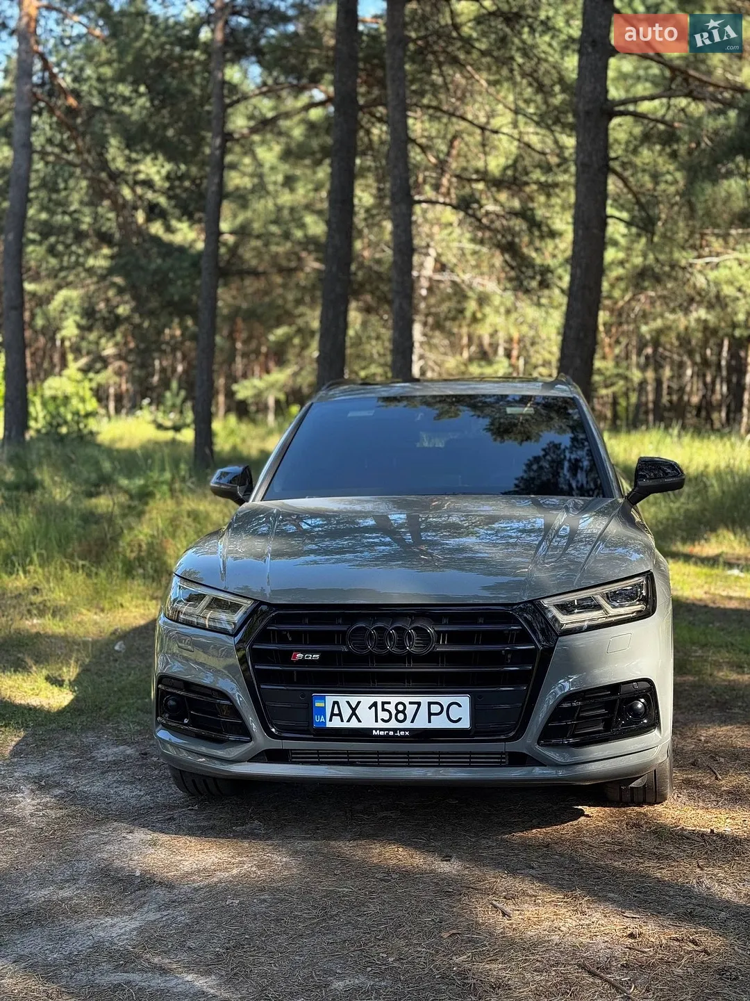 Audi SQ5, 2019