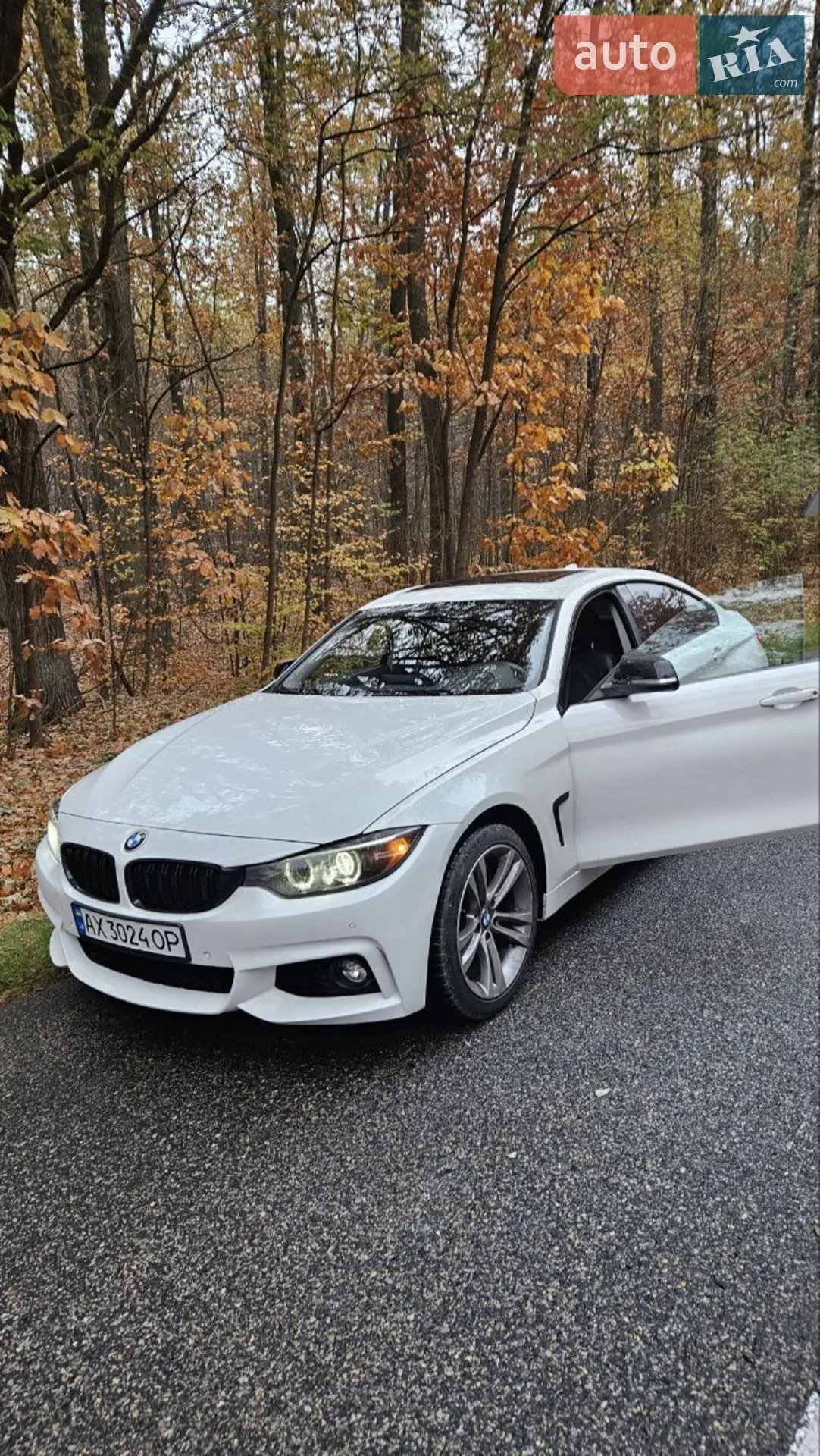 BMW 4 Series Gran Coupe, 2014