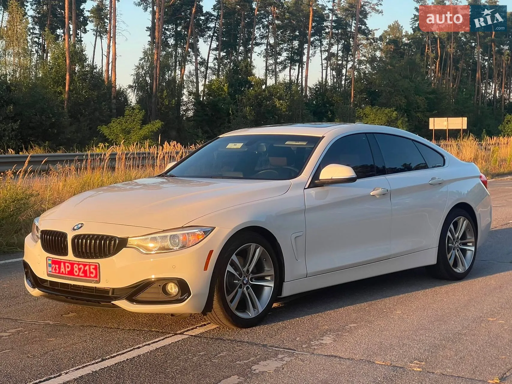 BMW 4 Series Gran Coupe, 2016