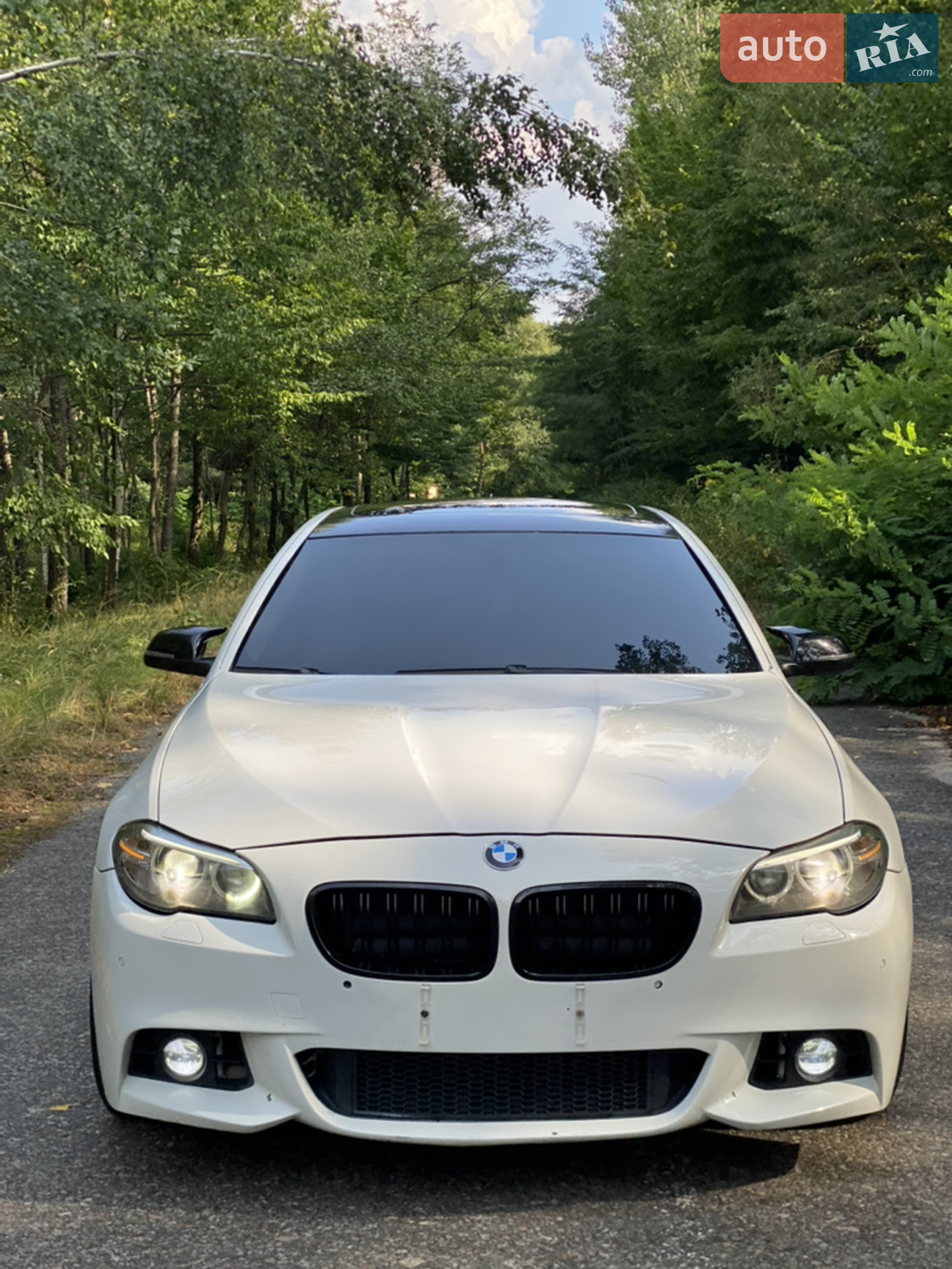BMW 5 Series, 2014