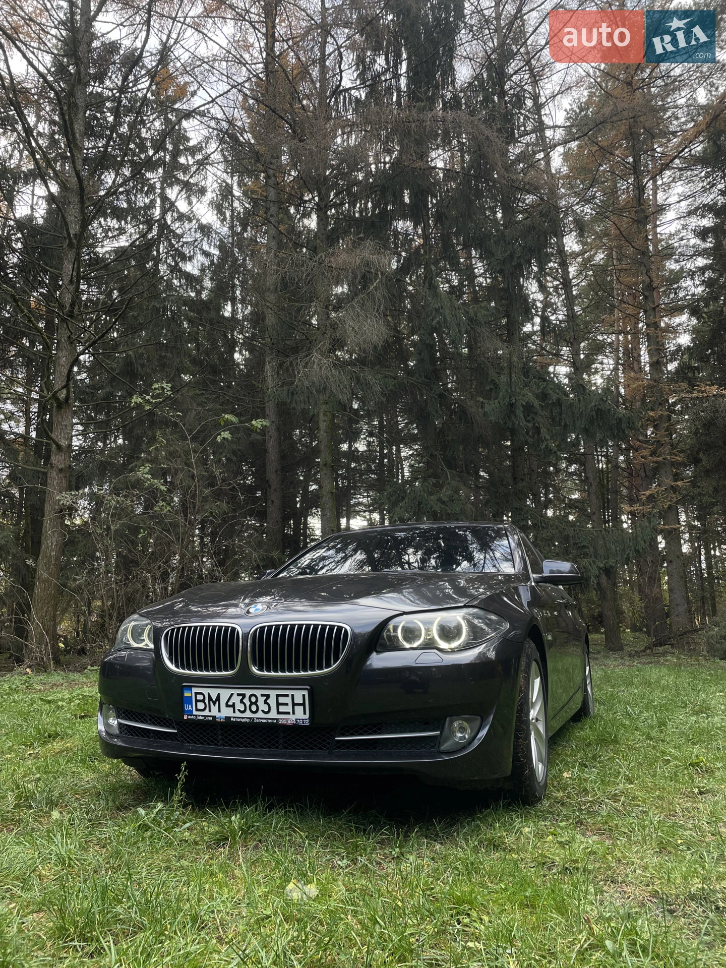 BMW 5 Series, 2013