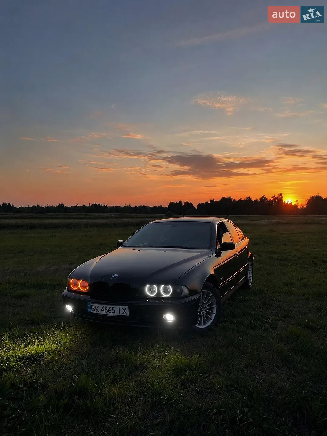 BMW 5 Series, 2002