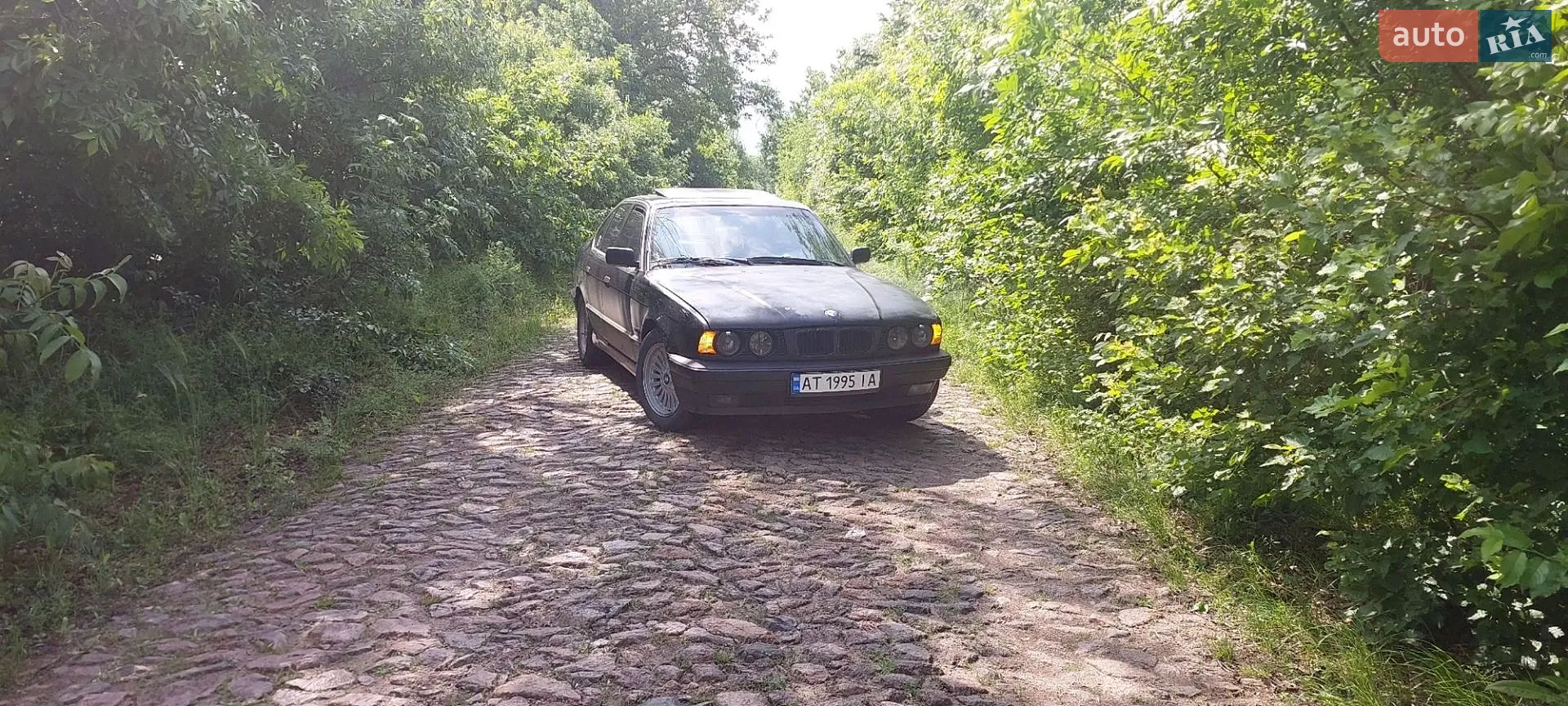 BMW 5 Series, 1995
