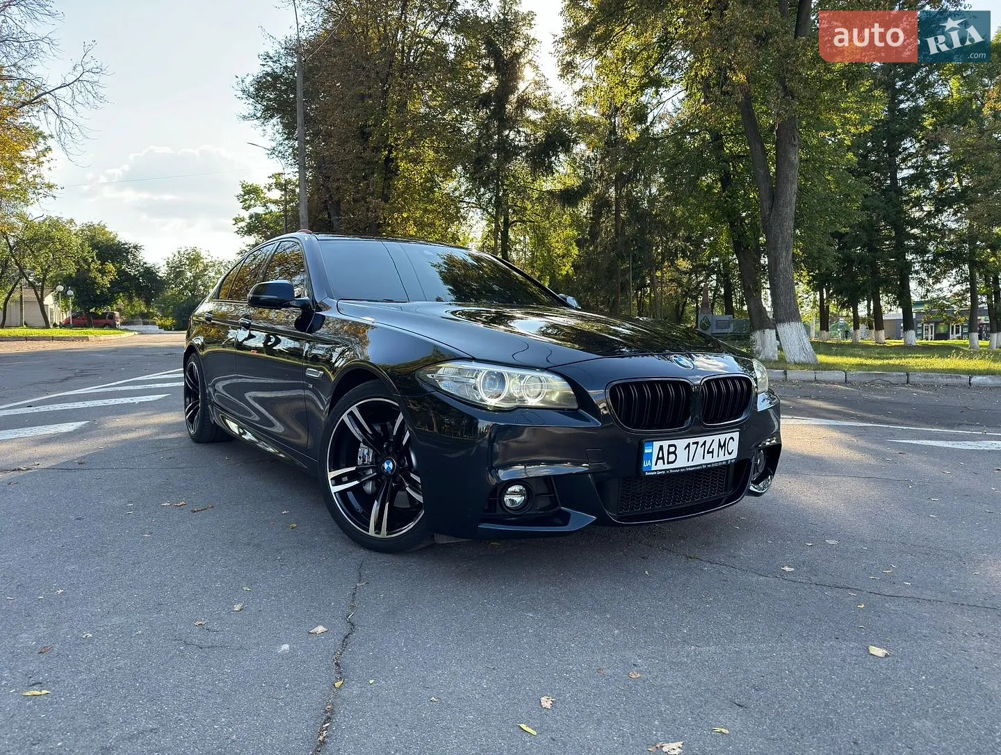 BMW 5 Series, 2013