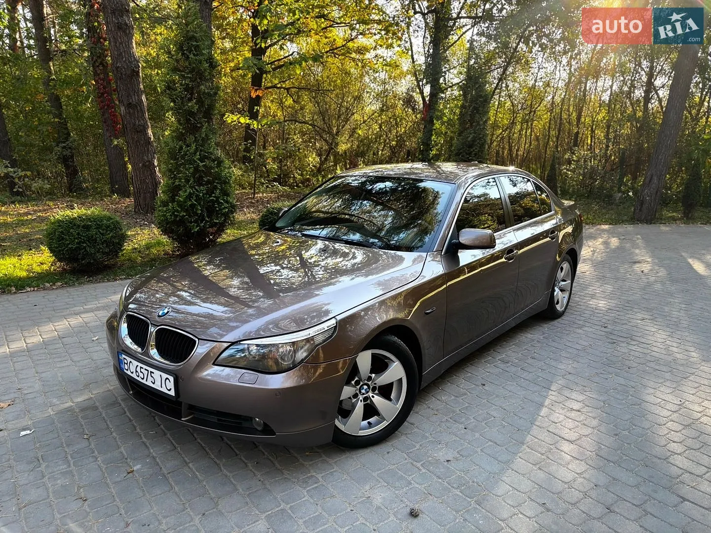 BMW 5 Series, 2006