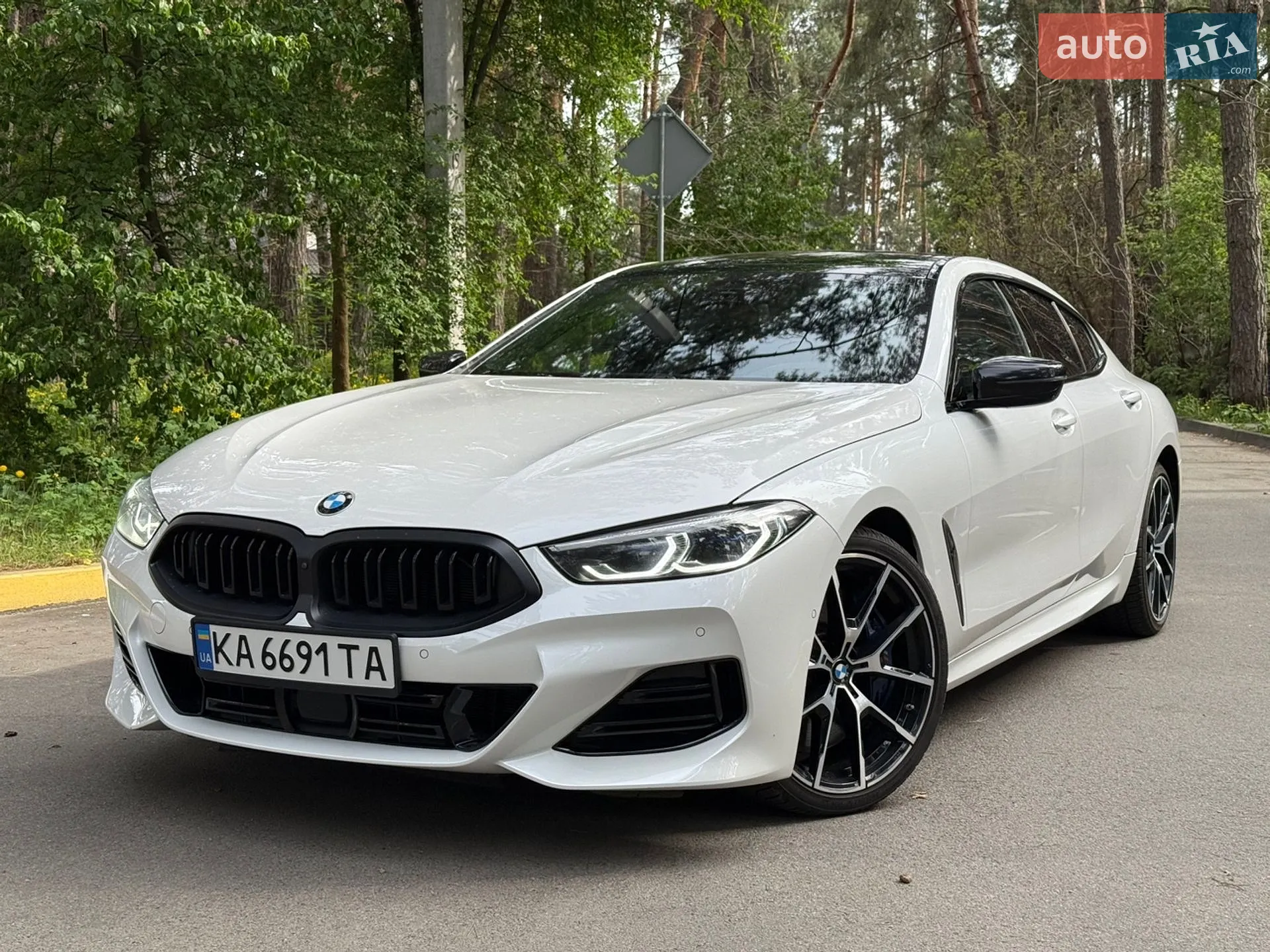 BMW 8 Series Gran Coupe, 2019