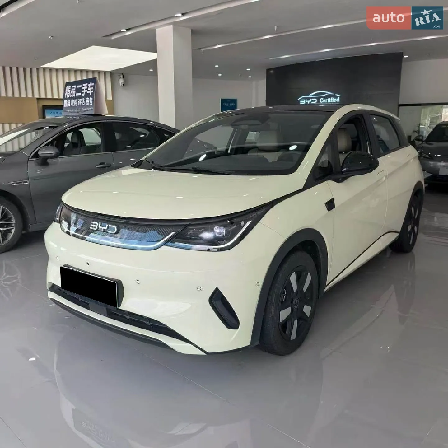 BYD Dolphin, 2025