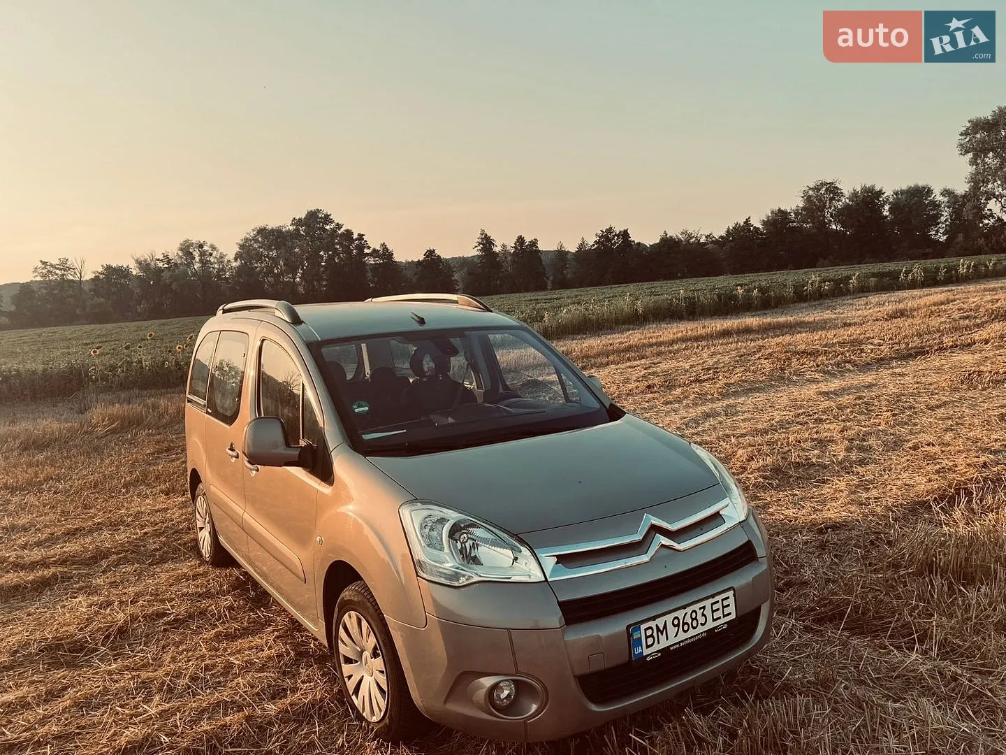 Citroën Berlingo, 2010