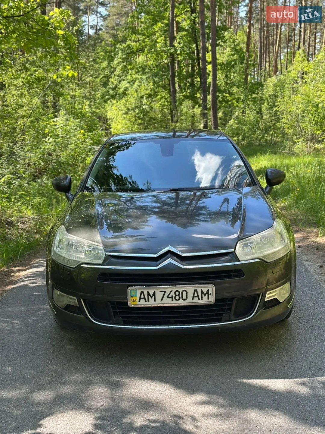 Citroën C5, 2008