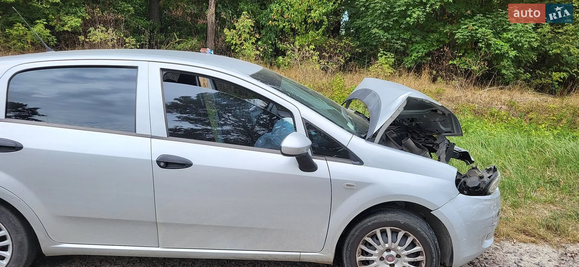 Fiat Grande Punto, 2010