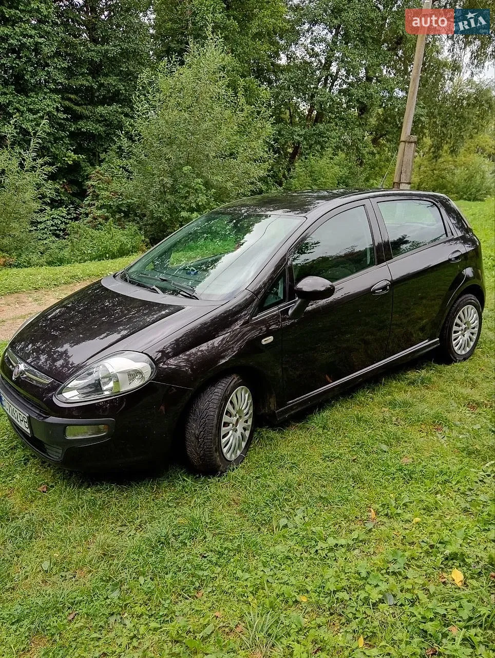 Fiat Punto, 2010