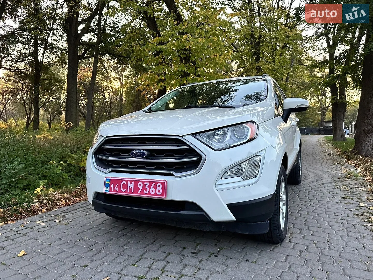 Ford EcoSport, 2020