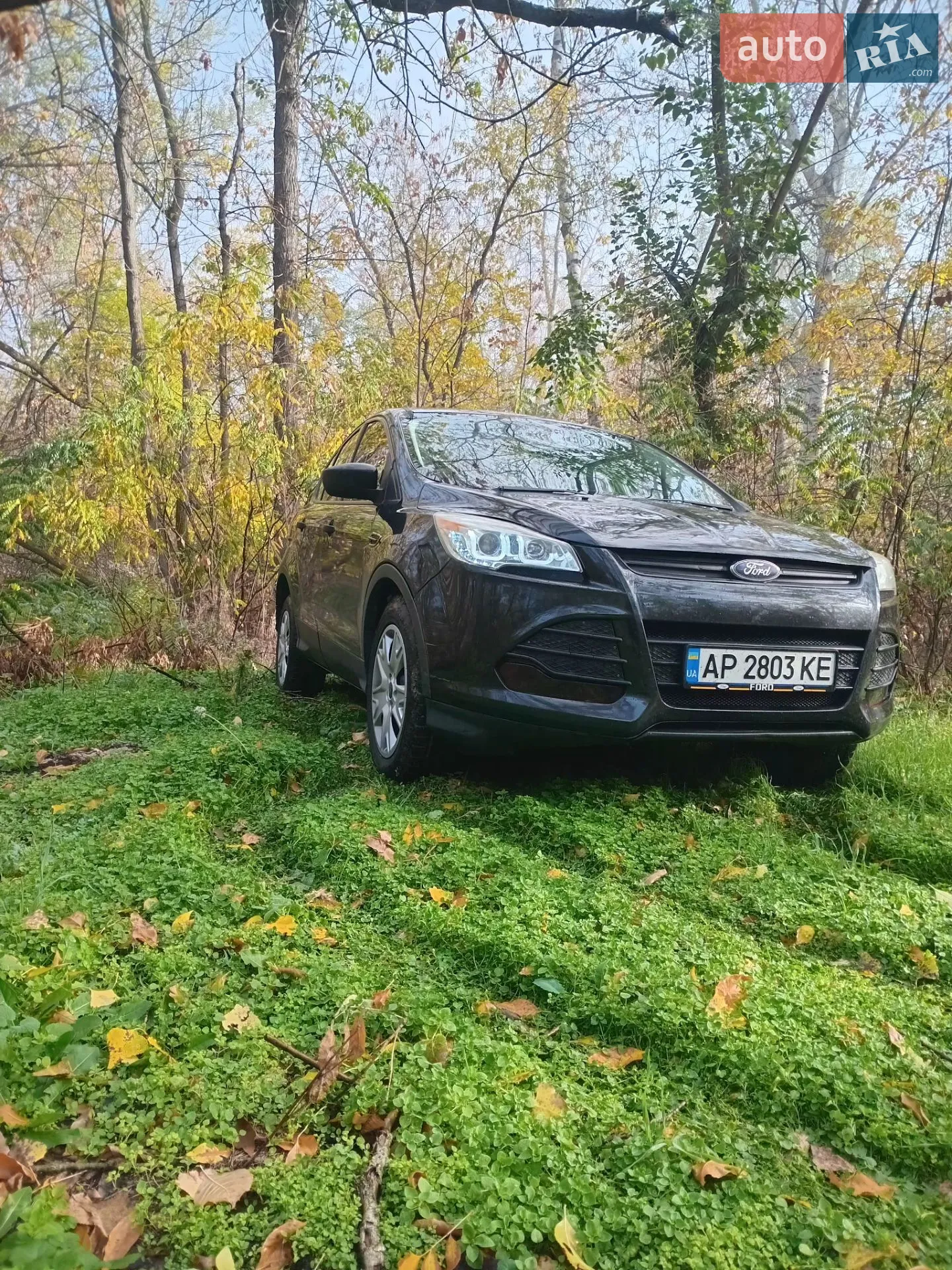 Ford Escape, 2012