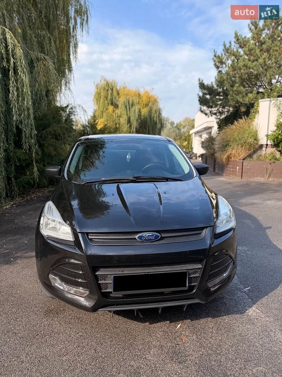Ford Escape, 2013