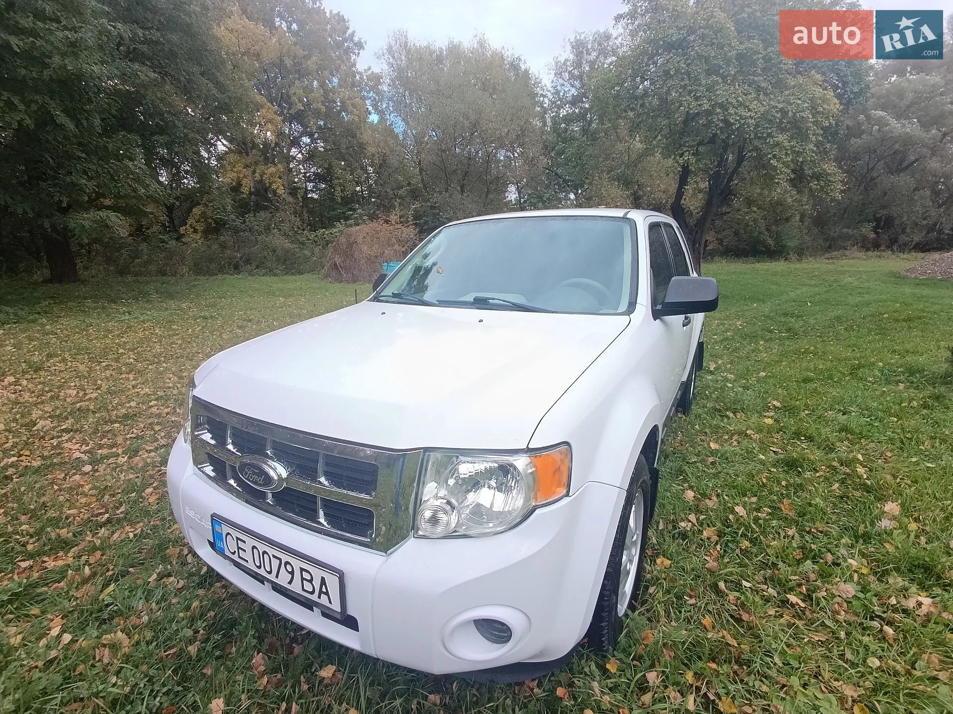 Ford Escape, 2010