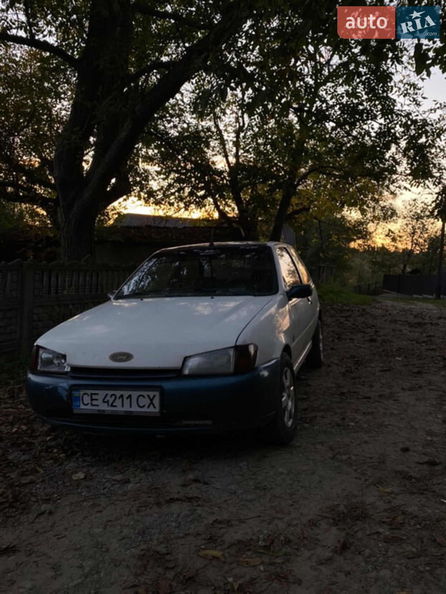 Ford Fiesta, 1991