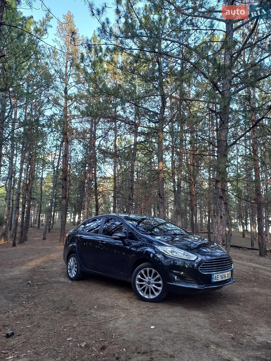 Ford Fiesta, 2013