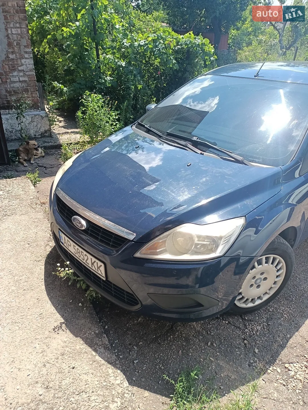Ford Focus, 2010