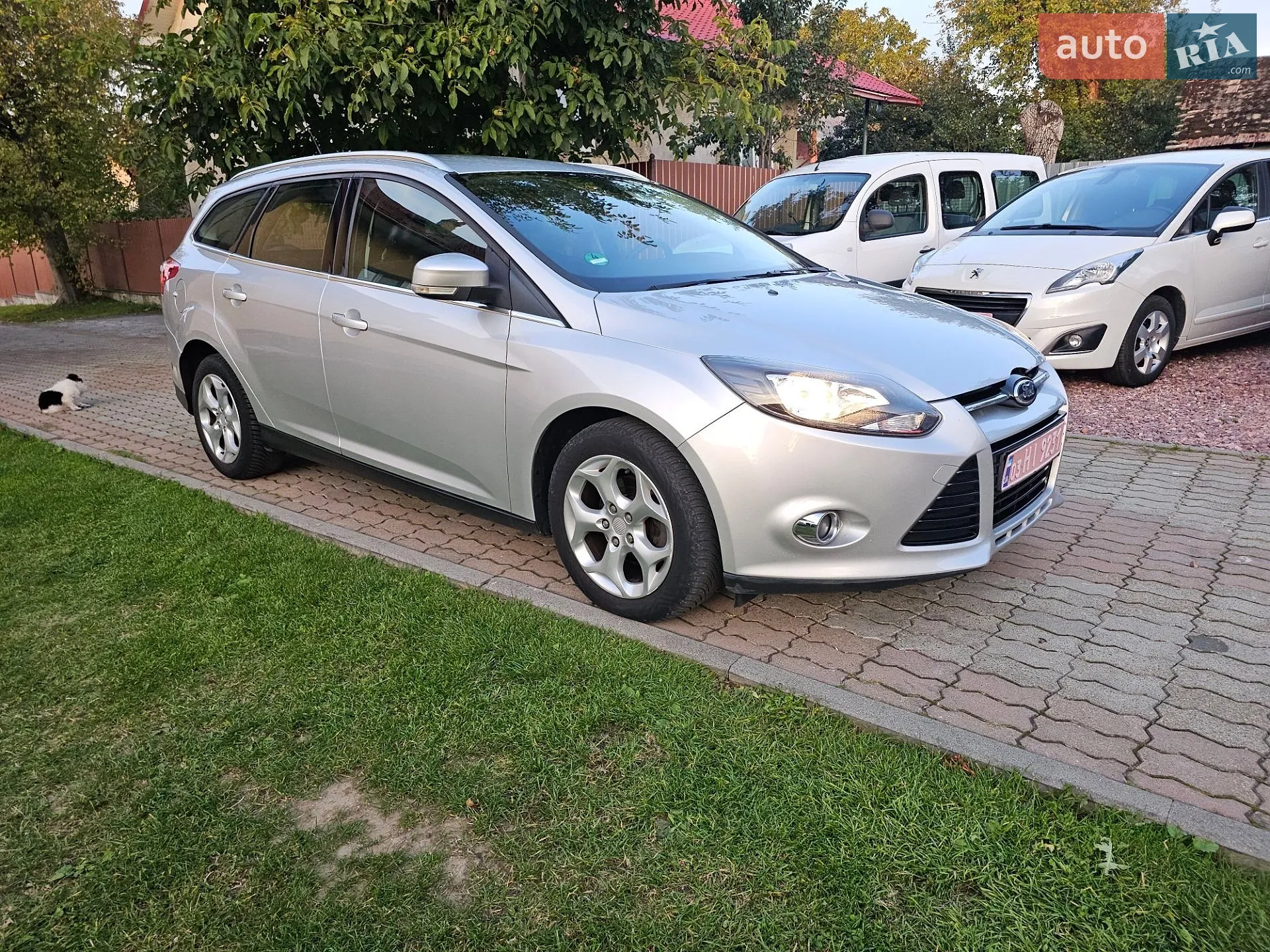 Ford Focus, 2013